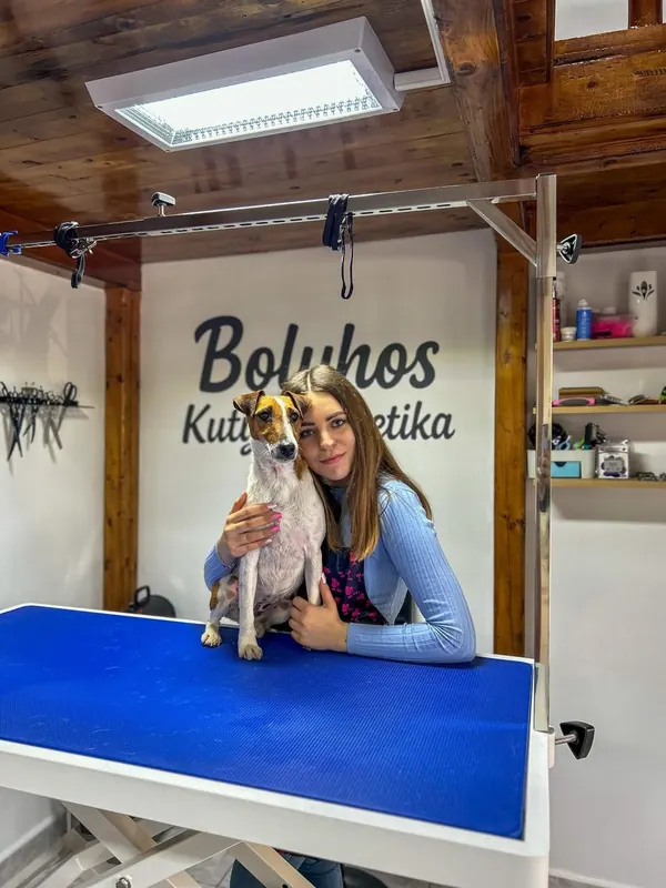 Bolyhos Kutyakozmetika stúdiójában egy kutyus és a kozmetikus